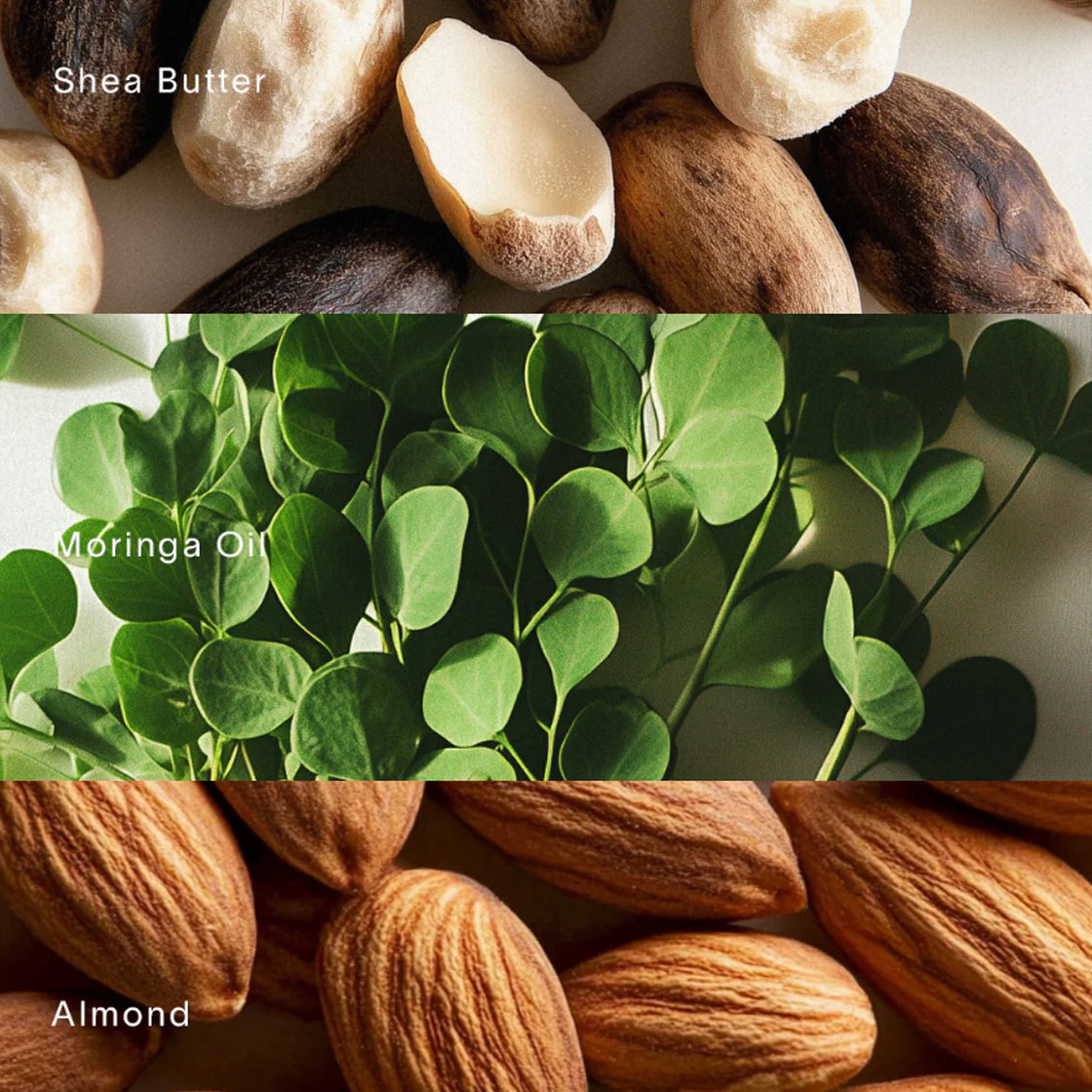 Nærbilde av sheasmør, moringaolje og mandler i naturlig lys for Body Lotion Renaissance De Moringa - By Melyon