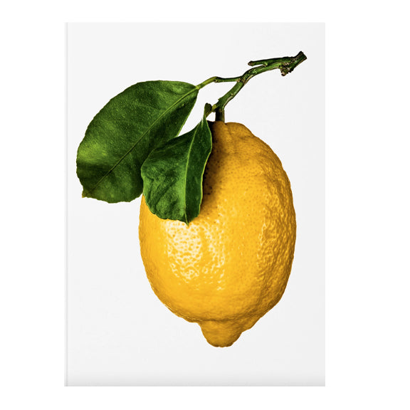 The Gourmand's Lemon. A Collection of Stories and Recipes - By New Mags