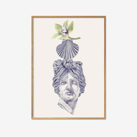 Green Orchid, Shell and Marble Print - By If Walls Could Talk