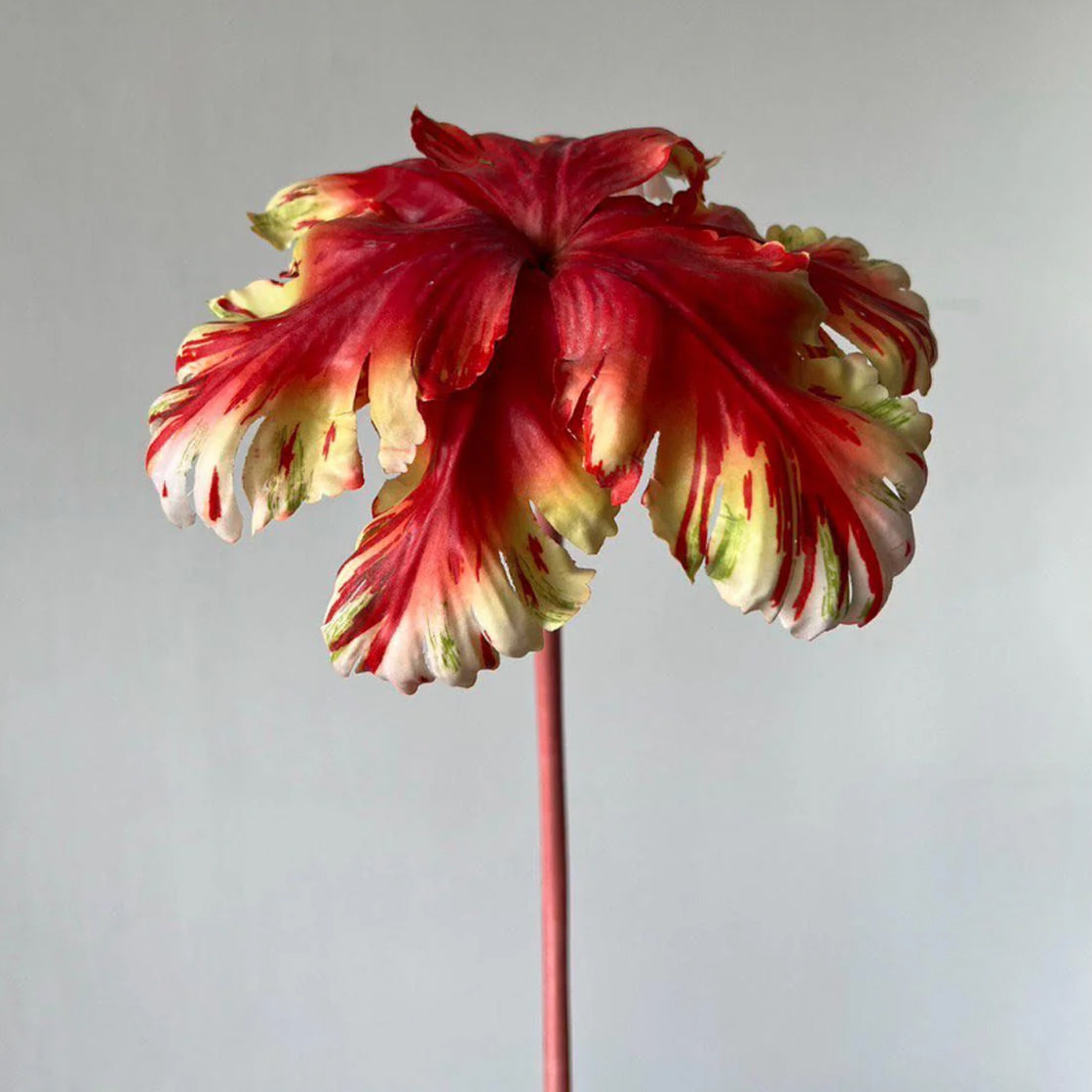 Blomster Reverse Tulip Sunset - By Reevein Studios