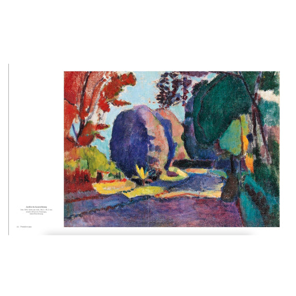 Matisse The Bigger Picture - By New Mags